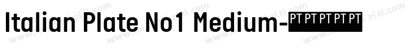Italian Plate No1 Medium字体转换